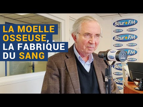 [AVS] "La moelle osseuse, la fabrique du sang" avec le Pr Albert Najman