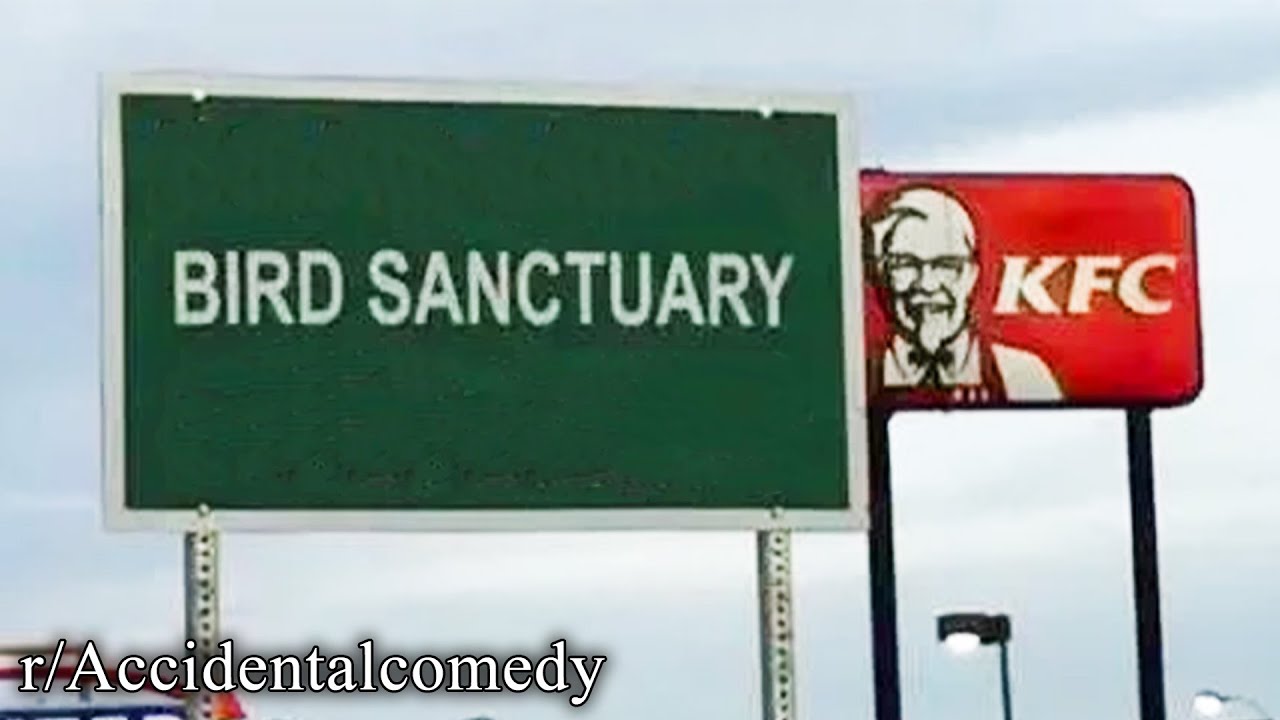 r/Accidentalcomedy | they definitely knew..