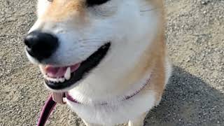 趣里の激変姿が「えぐいて」 ネット騒然 「え!」「マジで」 「話入ってこない」「ど タイプ」