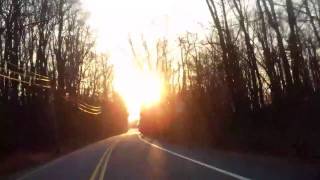 MINUS THE BEAR    :burying luck: