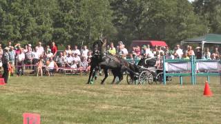 preview picture of video 'KMM Liga Zaprzęgowa - Wielgie - Rafał Paszyński p 1'