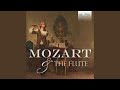 Flute Sonata in A Major, K. 12: II. Allegro