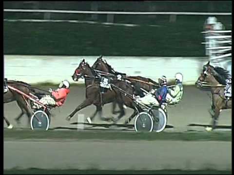 Trotto 05/01/2016 - 7° corsa