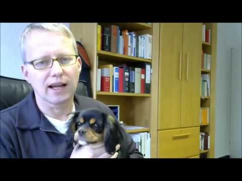 Arbeitsrecht in 60 Sek. - Antrag auf Teilzeit und Verringerung der Arbeitszeit