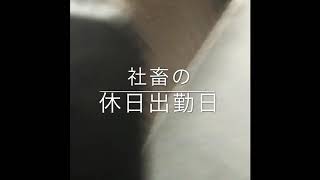 【休日出勤】可愛い感じの音楽付けても冷静に考えて糞じゃね？？笑