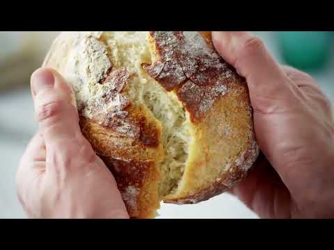 Gonnella - A Tradition of Excellence