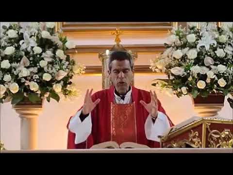 Homilía 09/08/22 - Mateo 18, 1-5, 10, 12-14 - ¿Quién es el mayor?. El escándalo. La oveja perdida.