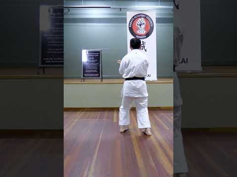 SANCHIN KATA GOJU RYU KARATE by Davy Wijaya Sensei
