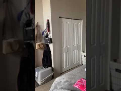 2353 Sidney Street - Video 2 of 2