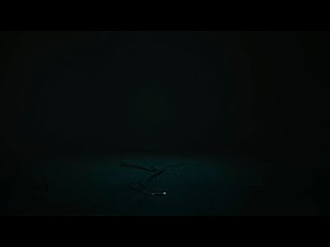 Video thumbnail for La naturaleza (freestyle)