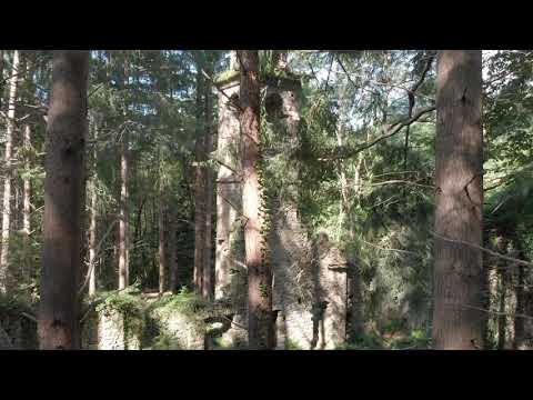 San Martino di Licciorno, un campanile nel bosco