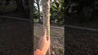 Aalis na naman kami sa bahay namin sa Florida