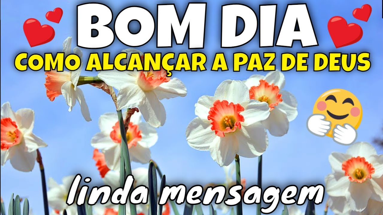 A Paz de Deus! Como Alcançá-la Mensagem de Bom Dia
