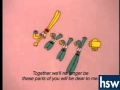 Meiosis Square Dance 