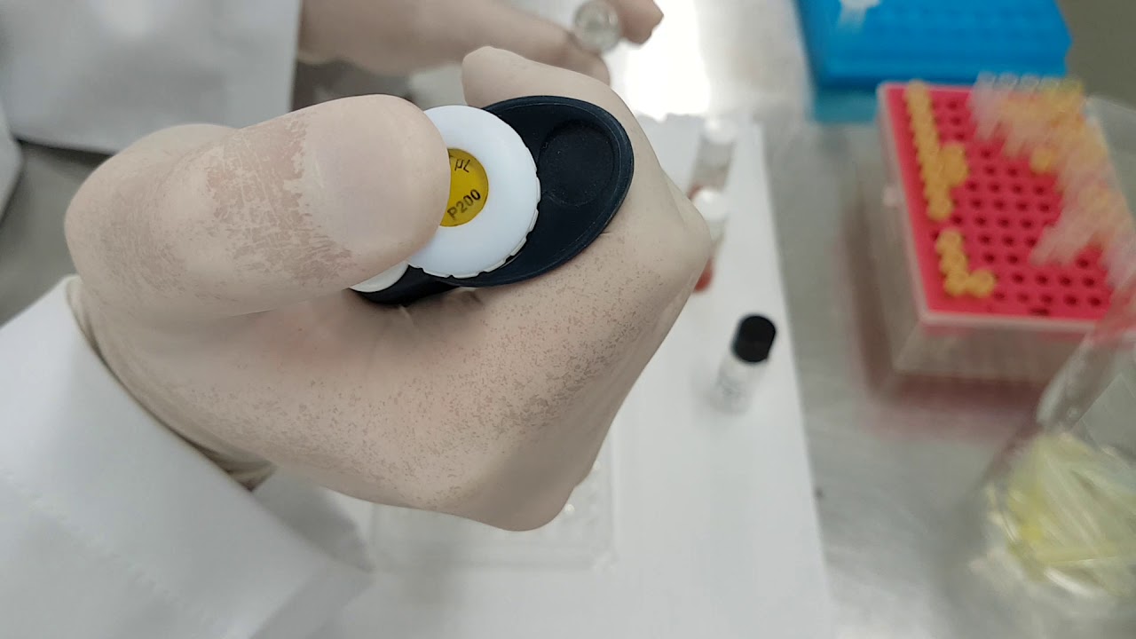 IMUNOLOGIA - Aulas prática de Hemaglutinação indireta