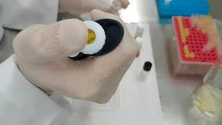 IMUNOLOGIA - Aulas prática de Hemaglutinação indireta