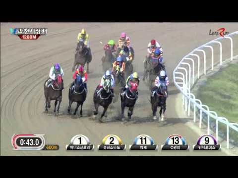 Gwacheon Mayor's Cup 2015 - Waikiki