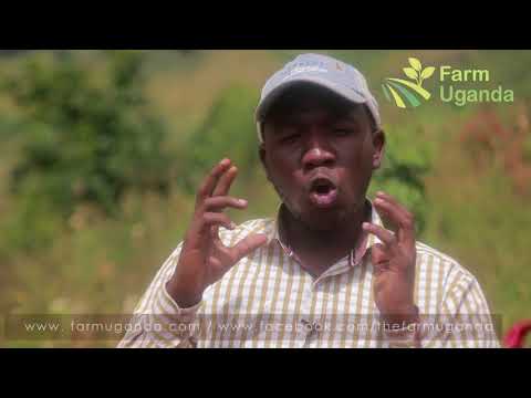 Agrotourism