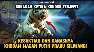 Download lagu BUKAN UNTUK MAIN MAIN !! Kesaktian dan Ganasnya Khodam Macan Putih mp3