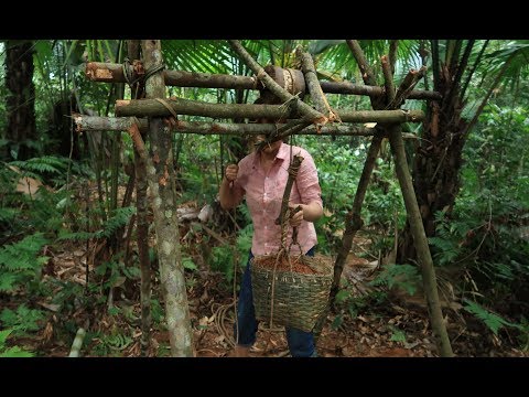 Primitive Technology Make a pulley pulling the ground | Daily work primitive life
