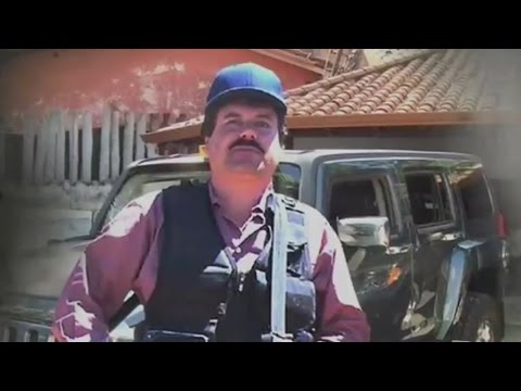 Properties of "El Chapo"