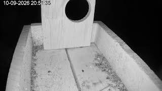 Bird Feeder Live Cam 2 🕊️ | Live Nature from Slovenia | Arboretum and Botanical Gardens Volčji Potok live webcam