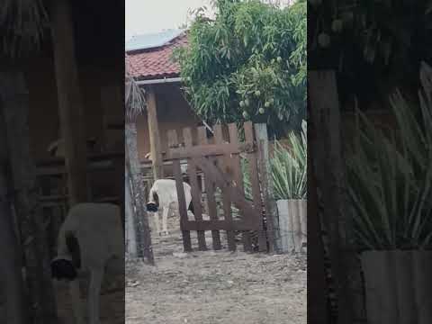 11 de março de 2026