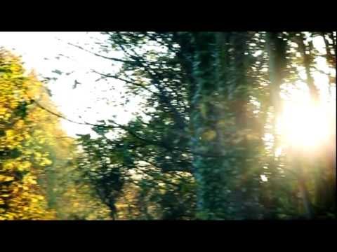 Dusan Gazi - Déda Dance Project