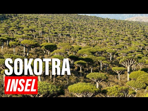 Insel Sokotra, Jemen – Eine Landschaft aus einer anderen Welt | Explore Edge auf Deutsch