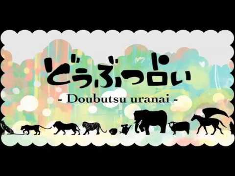 Animal Divination