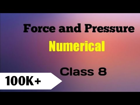 Force and Pressure Numerical Problems|Class 8|The Numerical