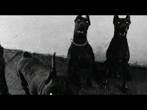 Vnasakar - Inch Karas Anes (ft. Ponch)