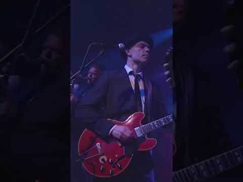 Blues Live Clip - Baby Please Don't Go - Thorbjørn Risager and the Black Tornado