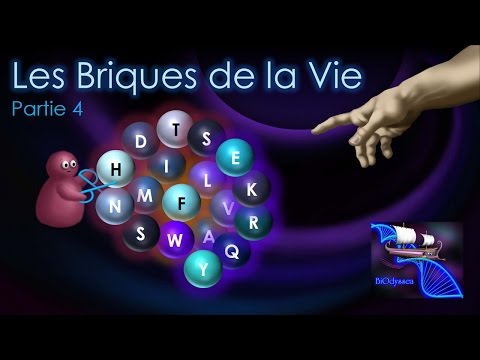 Les Briques de la Vie 4 : Le mystère des protéines