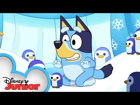 Bluey Season 3 Episode 38 "Cubby" Episode Clip | @disneyjr