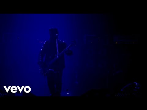 Videoclip de Chinga Tu Madre (Desde El Palacio De Los Deportes) — Molotov