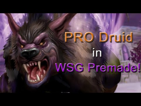 PRO Druid in WSG premade! WoW Classic druid PvP