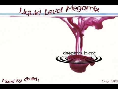 DJ Mitch - Liquid Level Megamix [Dub Techno / Minimal Techno]