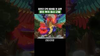 최신화) 조만간 CP0 때려칠 것 같은 로브 루치 최신 근황 #원피스