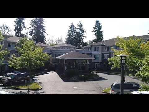 Video 1