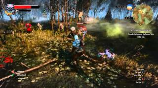 Witcher 3