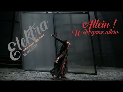 Diana Lamar - "Allein! Weh, ganz allein" - Elektra, Strauss