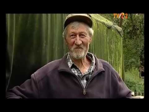 Natură şi aventură - Laci bacsi