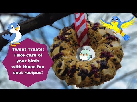 DIY- How to make suet to feed the birds