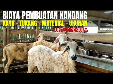 , title : 'RINCIAN BIAYA PEMBUATAN KANDANG KAMBING PALING AKURAT'