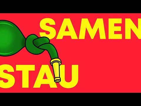 SHINSKY X DIMA - SAMENSTAU (prod. by basobeats)