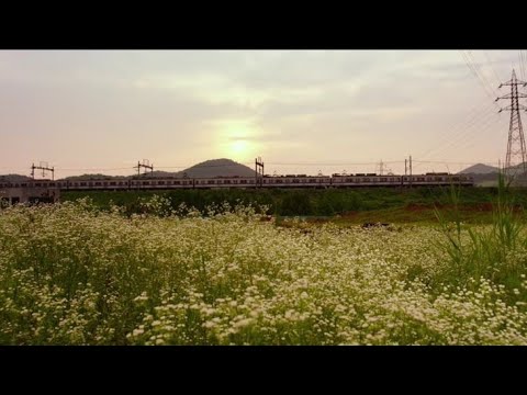 i still think of you - kento!