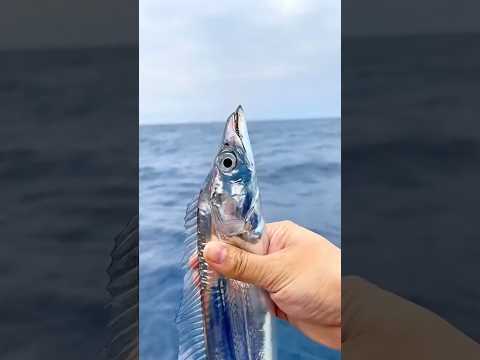 DIE 4 GRÖSSTEN MEERESMONSTER DER ERDE 🌊 UND DAS LETZTE SIEHT NICHT MAL REAL AUS! 😱