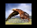 Montgomery Gentry - Didn't I - HQ - Lyrics