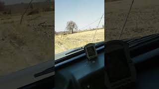 Full Power Off-Roading  | Mahindra Thar on MP Farmland #askdushyant  #mahindraindia